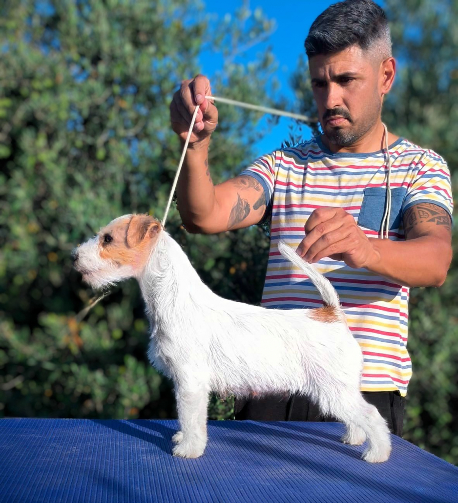 IMG-20250727-WA0005~2